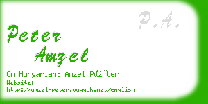peter amzel business card